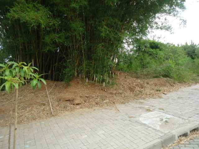 Terreno no Santa Rosa em Taquara