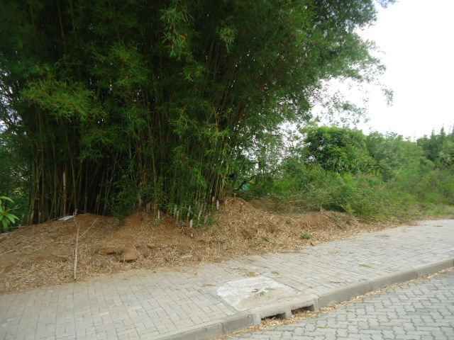 Terreno no Santa Rosa em Taquara