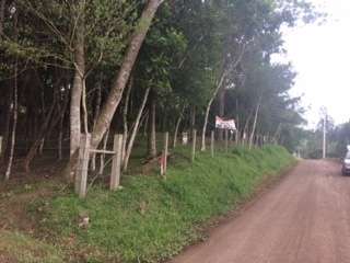 Terreno no Km 4 em Taquara