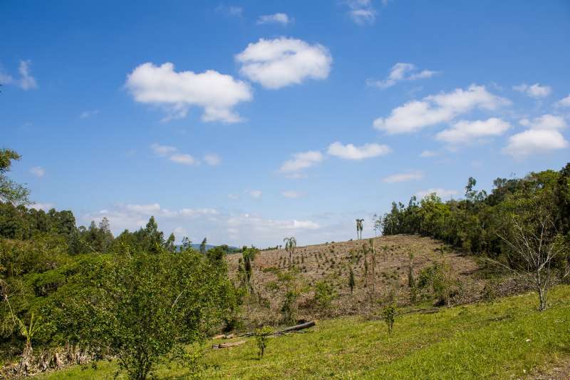 SITIO no Fazenda Fialho em Taquara