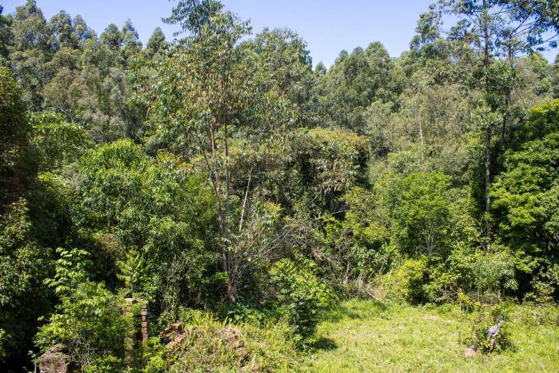 SITIO no Fazenda Fialho em Taquara