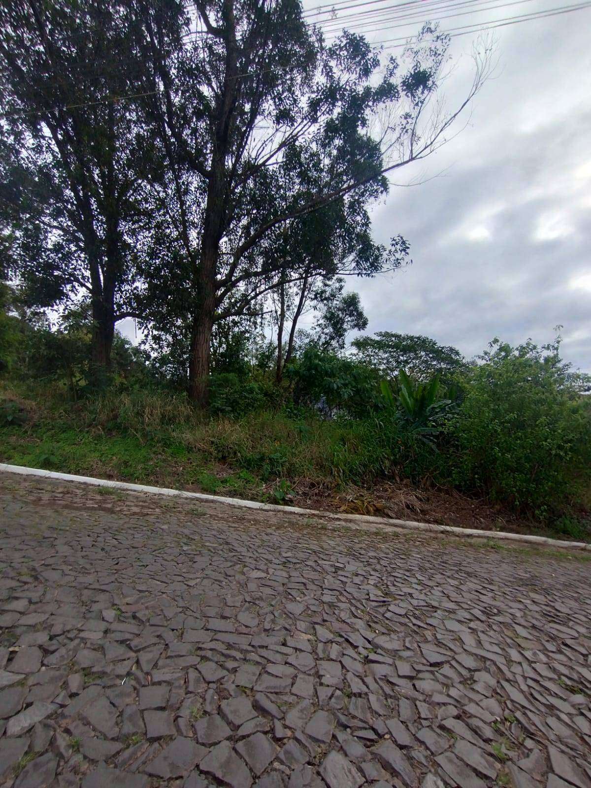 TERRENO no Sagrada Família em Taquara