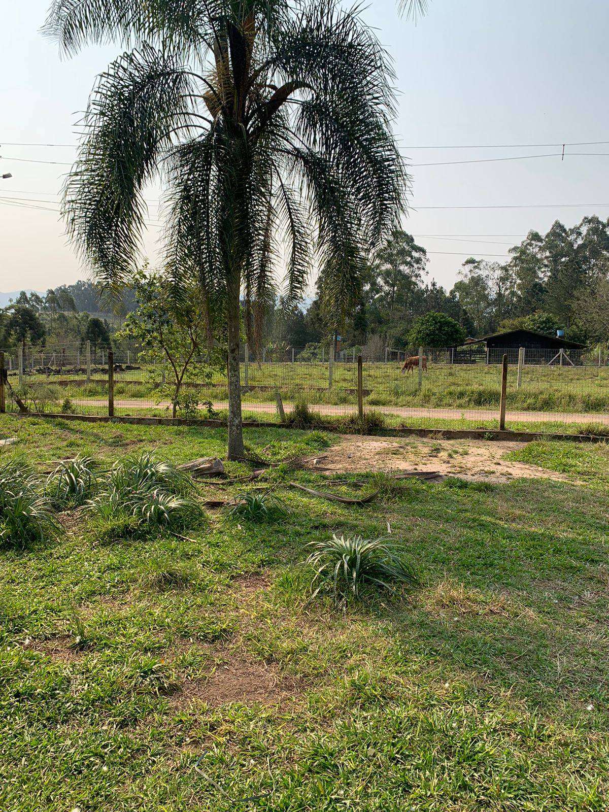 SITIO 3 Dormitórios  sendo 1 suíte,  no Campo Vicente em Nova Hartz