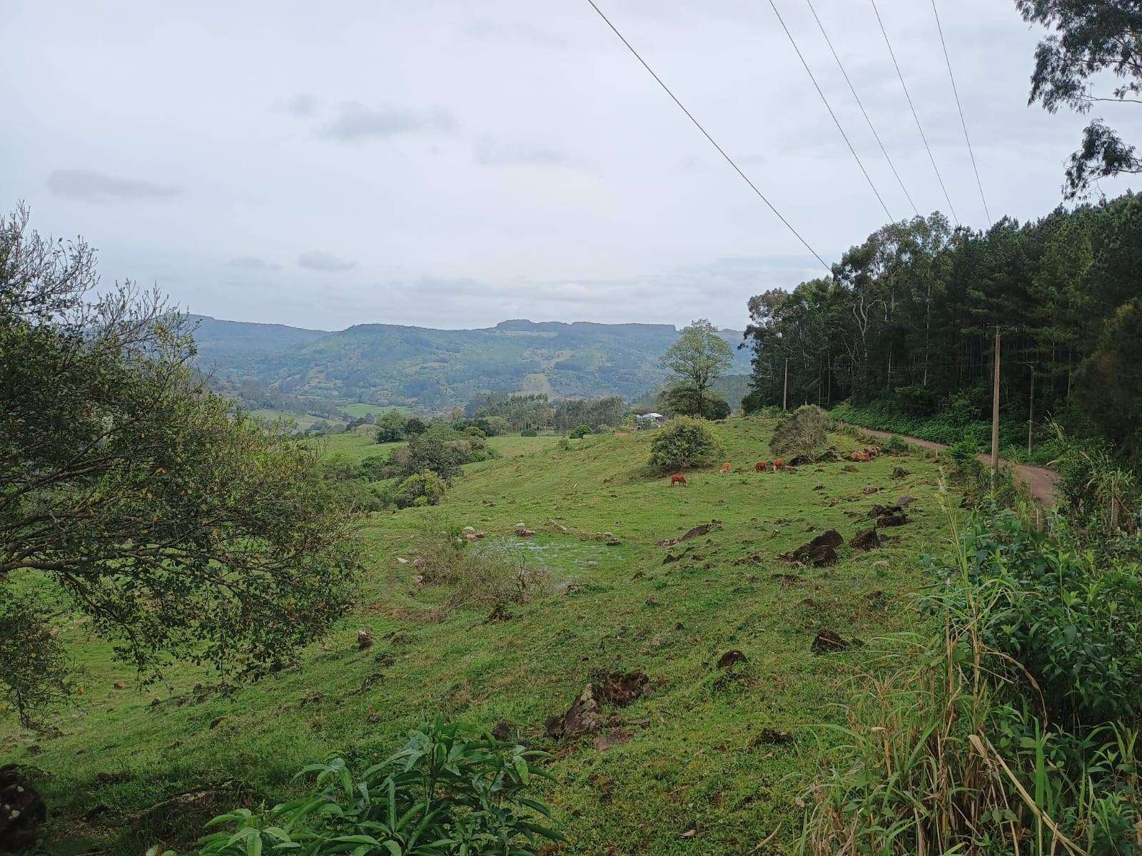 SITIO 2 Dormitórios  no Morro Alto em Taquara