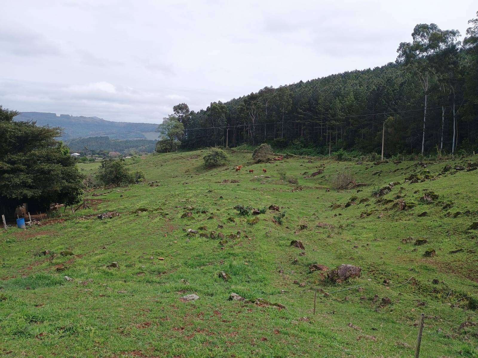 SITIO 2 Dormitórios  no Morro Alto em Taquara