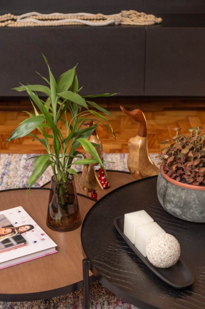 Apartamento 3 quartos  no Rio Branco