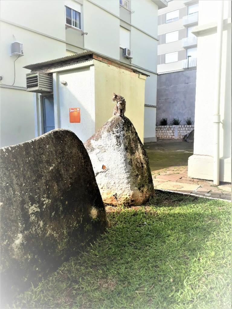 Apartamento 3 quartos  no Cristo Redentor