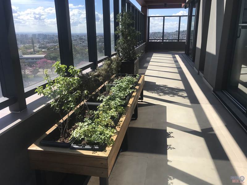 Apartamento 1 quarto  no Petrópolis