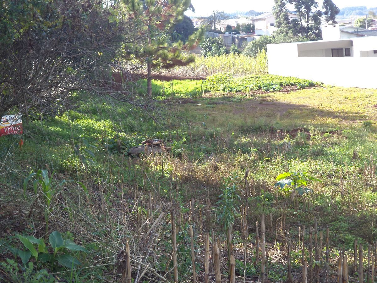 Terreno no bairro Linho