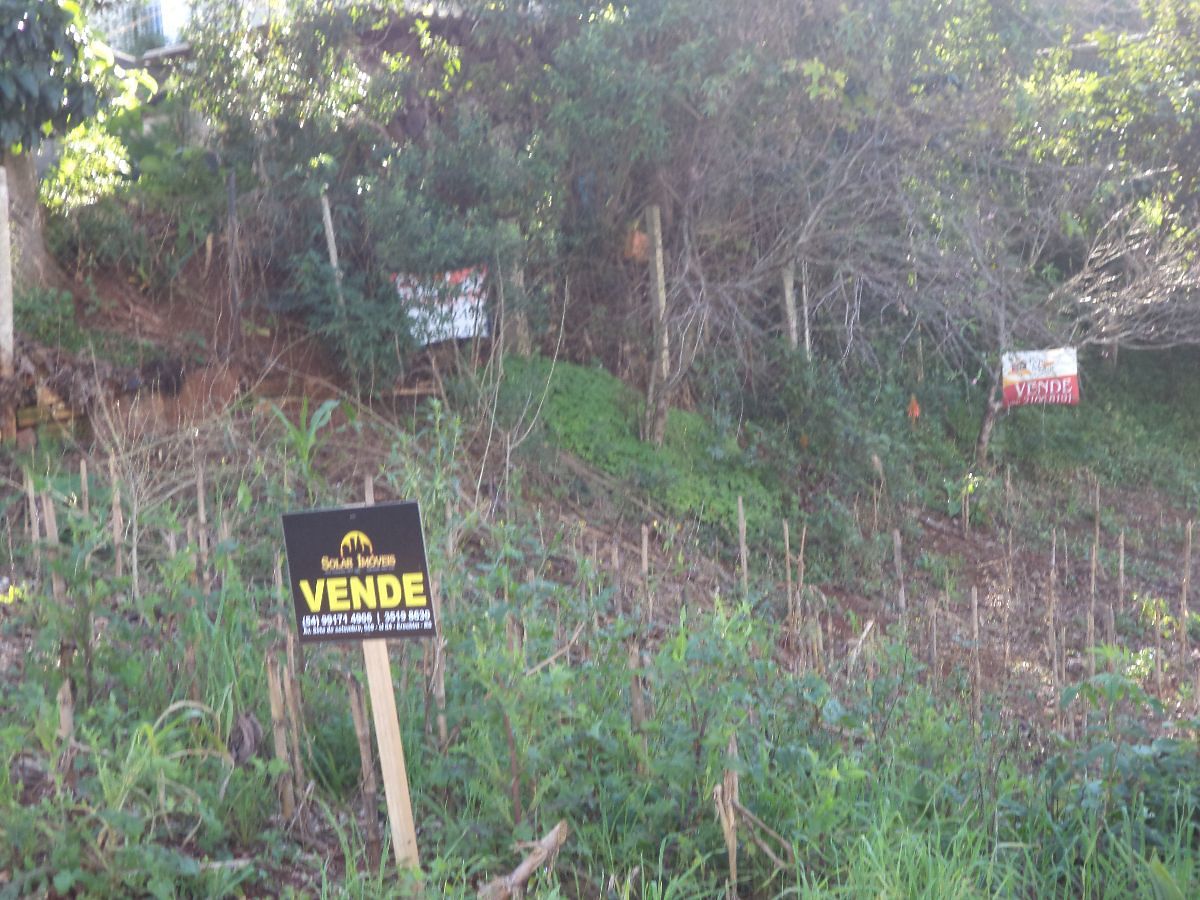 Terreno no bairro Linho