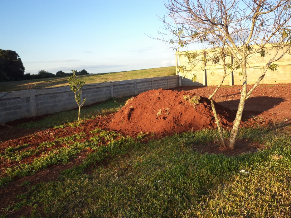 Terreno no bairro Industrial